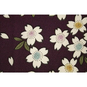 kimonocafe C~ J ߂ C~  ߁E