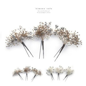 kimonocafe Up 3{Zbg 24W150   l ^ wAZbg ŐV s m  a ߁E