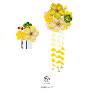 SOUBIEN ρ@񂴂@2_Zbg@F@CG[@΁@~@ԁ@@CXg[@Ԃ牺@܂ݍ׍H@l@Ǝ@U@߁@@߁@wAANZT[ wA