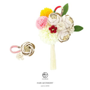 SOUBIEN @2_Zbg@n@O[zCg@ց@s|}@e@a@@[@R[@Us@߁@l@Ǝ@U@ь@wAANZT[