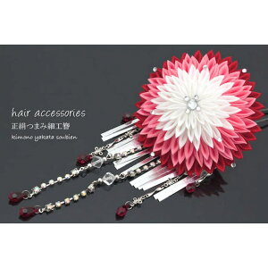 SOUBIEN ܂ݍ׍Hρ@{@@ԁ@CXg[@񂴂@JUV@wAANZT[@@ ߁E