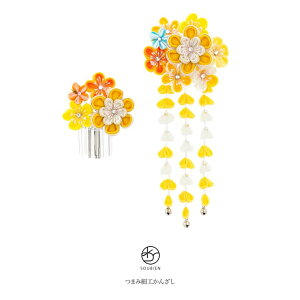 SOUBIEN ρ@񂴂@2_Zbg@F@CG[@~@ԁ@@CXg[@@@kɁ@߂@܂ݍ׍H@l@Ǝ@U@߁@@߁@wAAN