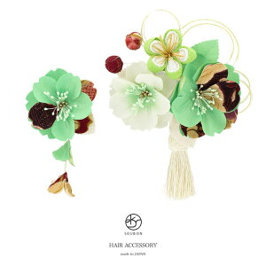 SOUBIEN @2_Zbg@ΐF@CgO[@@ԁ@a@[@@R[@Us@߁@l@Ǝ@U@ь@wAANZT[@{ 