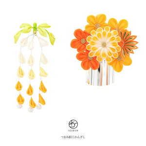 SOUBIEN ρ@񂴂@2_Zbg@F@CG[@F@IW@~@e@ԁ@@܂ݍ׍H@@l@Ǝ@U@ь@wAANZT[ ߁E