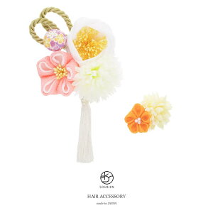 SOUBIEN @2_Zbg@@zCg@sN@ց@s|}@ԁ@ʏ@gR@kɁ@܂ݍ׍H@RT[W@[@R[@Us@wAANZ@l@Ǝ@{ 