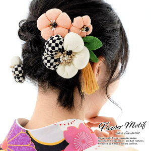 SOUBIEN @2_Zbg@@zCg@sN@ց@coL@ԁ@RT[W@kɁ@߂@[@R[@Us@߁@wAANZT[@l@U@Ǝ