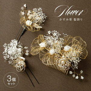 SOUBIEN  Ǝ  l U  3_Zbg l VbN _ amp zCg S[h ݑ tFCNp[ r[Y  Us R[ wAANZT[ ߁E