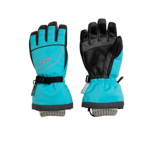 SHIFFON Phenix tFjbNX Crystal Flower Junior Gloves NX^ t[ WjA O[u  ̎q LbY   uh AEghA W[ X|[cEFA XL[EFA