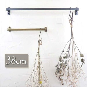 y10OFFN[|I12/11()1:59܂ŁzBACKYARD FAMILY ACA^InK[ 380 oXEgCE|