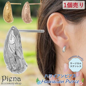 y10OFFN[|I11/27()1:59܂ŁzANZT[VbvPIENA sAX AM[ fB[X T[WJXeX316L Ўp 1 nCAWG[ hbv ^  g 