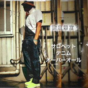 RAiseNsE fjI[o[I[ Y Tybg Ȃ fB[X I[C pc WvX[c#T627 pcEY{