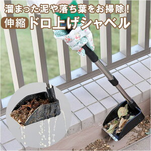 BACKYARD FAMILY LkhグVx t@bVG