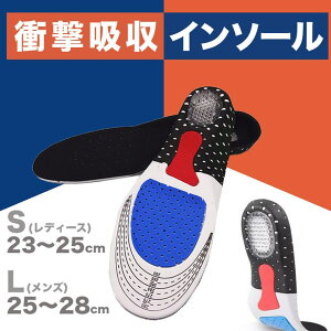 y10OFFN[|I12/11()1:59܂ŁzRAiseNsE C\[ ~ Ռz ~ Y fB[X L H 23cm?28cm[2F]#A191 V[YEC