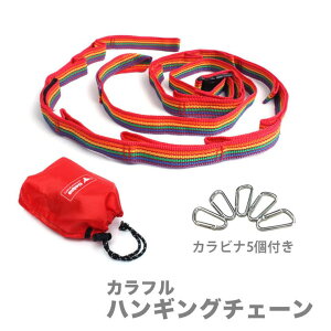 RAiseNsE nMO`F[ Jri5t  fCW[`F[ AEghA Lv [ ^[v [v R 󕨊[5F]#A315 AEghAELv