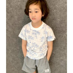 NEXT WALL �L�b�Y �q���� T�V���c �v�����gT�V���c �j�̎q ����T�V���c �e�B�[�V���c �{�[�C�Y �W���j�A ������v�����g���V�̖؃��]�[�gNEV �l�u�T�[�t �؍��q���� 110cm 120cm 130cm 140cm 150cm160cm�uN