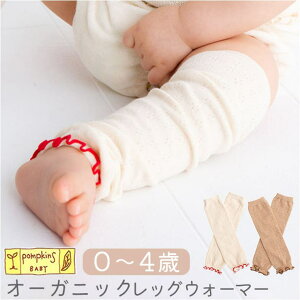 y10OFFN[|I12/11()1:59܂ŁzBACKYARD FAMILY POMPKINS BABY bOEH[}[ xr[