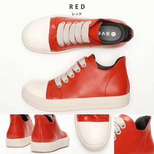 y10OFFN[|I12/11()1:59܂ŁzSVEC t@bgV[[X [JbgXj[J[ V[YEC