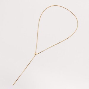 y10OFFN[|I12/11()1:59܂ŁzLUPIS yAM[Ή 316LzXl[N`F[GbgXeXlbNX ANZT[