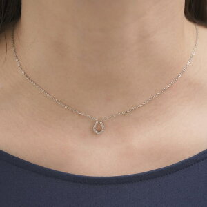 y10OFFN[|I12/11()1:59܂ŁzLUPIS yAM[Ή 316Lzv`z[XV[XeXlbNX ANZT[