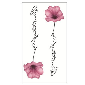 y10OFFN[|I11/11 ()1:59܂ŁzLUPIS t[×p^gD[V[@y^gDV[ ^gD[ t[   bZ[W ML S  킢 ؍t@bV ؍ 