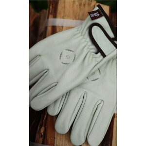 y10OFFN[|I12/11()1:59܂Łzaimoha men ysmorezS'more / Leather gloves ω΃O[u ϔMO[u v U[O[u5{w ϔM {v v  ~g o[xL[  L