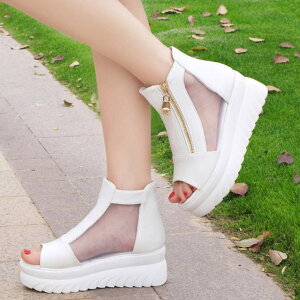 y10OFFN[|I11/27()1:59܂ŁzSUNSHINE CLOSET I[vgD u[cT_ fB[X V[YEC