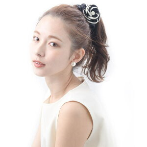 VINGTAINE VV JA oCJ[ MTCY  wAS Te lۂ 킢  v[g lJWA HS-191 wAANZT[