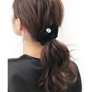 VINGTAINE VV XtXL[ xA ꗱ ܂Ƃߔ Vv wAANZT[   lJWA HS-195 wAANZT[