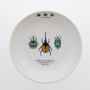 EAST table ǂJ[M@yʁ@16.5cm@j̎qp@TOTOY qH qpH ǂH ǂpH LbYH v[g pX^M [M M yH yʎ    d  D