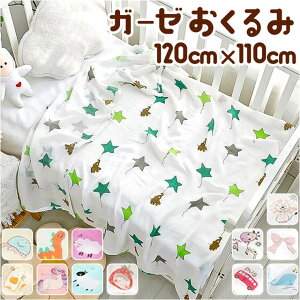 BACKYARD FAMILY �K�[�[������� lyca31no2 �x�r�[