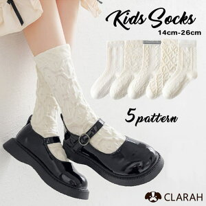 CLARAH LbY C 5Zbg  fUC ̎q \bNX  N[\bNX ۈ牀 ct w  w  Ǝ Aw Ci[E