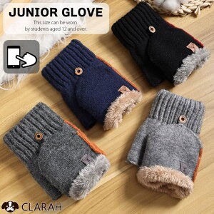 CLARAH WjA  O[u LbY wN w Z qǂ ǂ wȂ h΍ g 