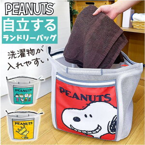 y10OFFN[|I12/11()1:59܂ŁzBACKYARD FAMILY Xk[s[ 郉h[obO oXEgCE|