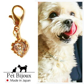 【10％OFFクーポン！6/11(木)1:59まで】Melody　Accessory ドックアクセサリー ハート 犬用ネックレス 首輪 チョーカー 犬 いぬ DOG ねこ 猫 ペット 小型犬 中型犬 かわいい おしゃれ トイプードル チワワ ポメラニアン