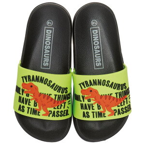 Skater LbY V[ T_ 18cm 18 q ǂ 킢  C r[` XP[^[ skater SDSH18 fBmTEX  _Ci\[ j̎q jqyv[ C qǂ LN^[z V[