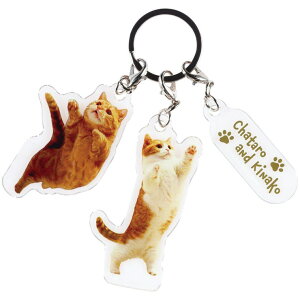 Skater AN L[z_[ LN^[ ANL[ _CJbg 킢  XP[^[ skater ZKHT1 Y Ȃ ZZ L lR jq qyct Jo q ǂ l  JM