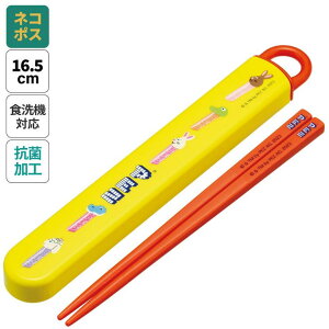 Skater Zbg HΉ  R Jg[ ٓ  skater q P[X XP[^[ ABS2AMAG PEZ ybc َq j̎q ̎q jq qyJg[Zbg Jg[P[X Wt