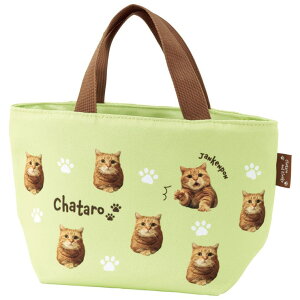 y10OFFN[|I11/27()1:59܂ŁzSkater z `obO ` g[gobO t@Xi[ ٓ obO ٓ  XP[^[ skater YEB5 Y Ȃ ZZ L lR jq qyTuo