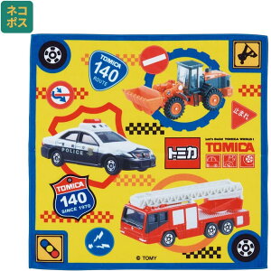 Skater  `NX 43cm ٓ   ȒP ֗ LN^[  XP[^[ skater KBST43 g~J tomica   j̎q jq jy` NX ΂ J^ 킢z