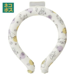 Skater O L lbNN[[ ⊴f ⊴ MǗ\h ΍ Ђ NCL2 XP[^[ skater 23N ܂̃v[ v[ Pooh  fB[XyAEghA EH[LO ʋ GR