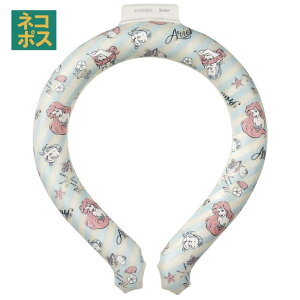 y10OFFN[|I11/11 ()1:59܂ŁzSkater O L lbNN[[ ⊴f ⊴ MǗ\h ΍ Ђ NCL2 XP[^[ skater 23N AG g}[Ch ̎q fB[X