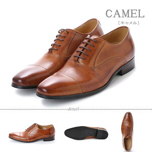 Zeal Market Y ItBX tH[} ZbgAbv H Xg[g`bvV[Y 1300 V[YEC