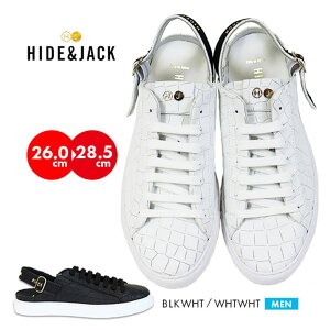 PROVENCE Y U[ Xj[J[ C nChAhWbN v Ki  LJW t@bV  ₷ _炩 y JWA ڗ am uh v[g NR