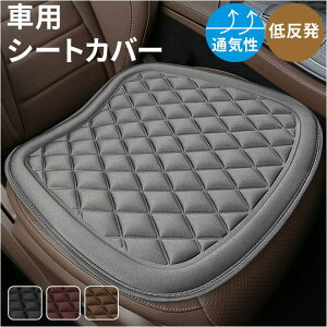 BACKYARD FAMILY V[gJo[  ėp QECeAG