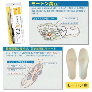 shop kilakila C\[v fB[X C\[ ~ Ռz NbV ɂȂ Or  Ђ O ew Εɑؖ [ga G PApi V[YE