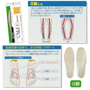 shop kilakila C\[v fB[X C\[ ~ Ռz NbV ɂȂ Or  Ђ O ew Εɑؖ [ga G PApi V[YE