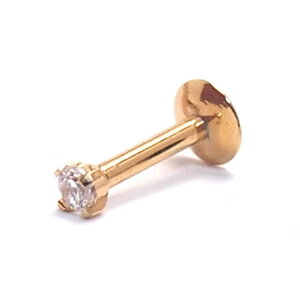 y10OFFN[|I11/27()1:59܂ŁzsAXXHOMESLICEPRODUCTIONS {fBsAX 16G CZgbv Eh XNGA X^[ n[g ubgX^bh sAX sAX wbNX {fBs