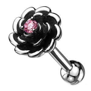 y10OFFN[|I11/27()1:59܂ŁzsAXXHOMESLICEPRODUCTIONS {fBsAX CZZ^[WGt[ AeB[NVo[ Xg[go[x 16G y sAX sAX wbN