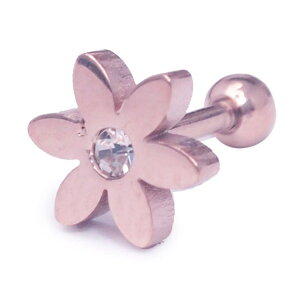 �y10��OFF�N�[�|���I1/16(��)1:59�܂Łz�s�A�X���XHOMESLICEPRODUCTIONS �{�f�B�s�A�X �t�����[�E�B�YCZ �X�g���[�g�o�[�x�� 16G ��s�A�X ���s�A�X �w���b�N�X 316L �T�[�W�J�� �X�e�����X���u���b