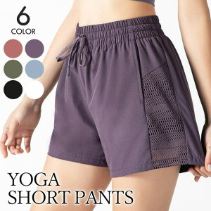 Tearly KEFA KMX Kpc n[tpc V[gpc zbgpc MX pc fB[X X|[cEFA fB[X tBbglXEFA jOEFA g